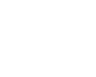 Expertise Best Criminal Defense Lawyer in Charleston, SC Criminal Defense Law Firm